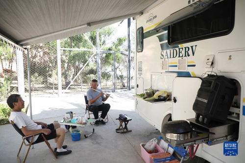 黄土坡上的绿色蝶变 生态振兴激活乡村休闲观光新动能