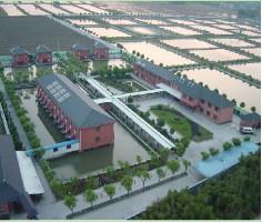 探秘杭州龚老汉休闲观光园 一场亲近自然的田园之旅