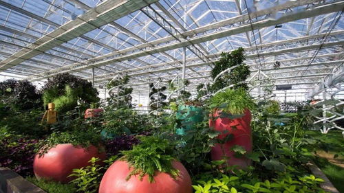 观光休闲农业的发展趋势 休闲观光活动的创新与实践